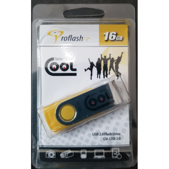 Clé USB 16GB : Série COOL (Option de Sélection)